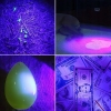 LATARKA LED UV 5W 395nm ZESTAW SURVIVALOWY W ETUI + AKUMULATOR + ŁADOWARKA