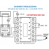 REGULATOR TEMPERATURY STEROWNIK REX C100 CH102 WYJŚCIE SSR + PRZEKAŹNIK 10A