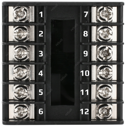 REGULATOR TEMPERATURY STEROWNIK REX C100 CH102 WYJŚCIE SSR + PRZEKAŹNIK 10A