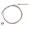 REGULATOR TEMPERATURY STEROWNIK REX C100V+ CZUJNIK PT100 M6+PRZEKAŹNIIK 40A